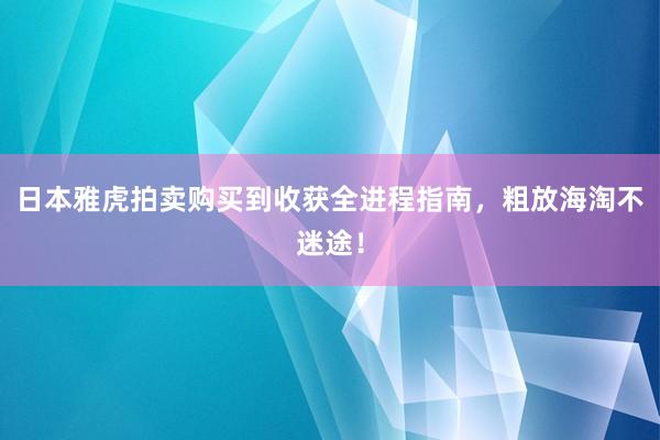 日本雅虎拍卖购买到收获全进程指南，粗放海淘不迷途！