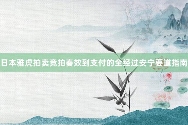 日本雅虎拍卖竞拍奏效到支付的全经过安宁要道指南