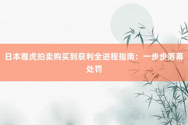 日本雅虎拍卖购买到获利全进程指南：一步步落幕处罚